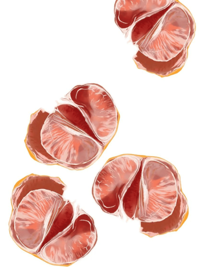 Illustration Citrus