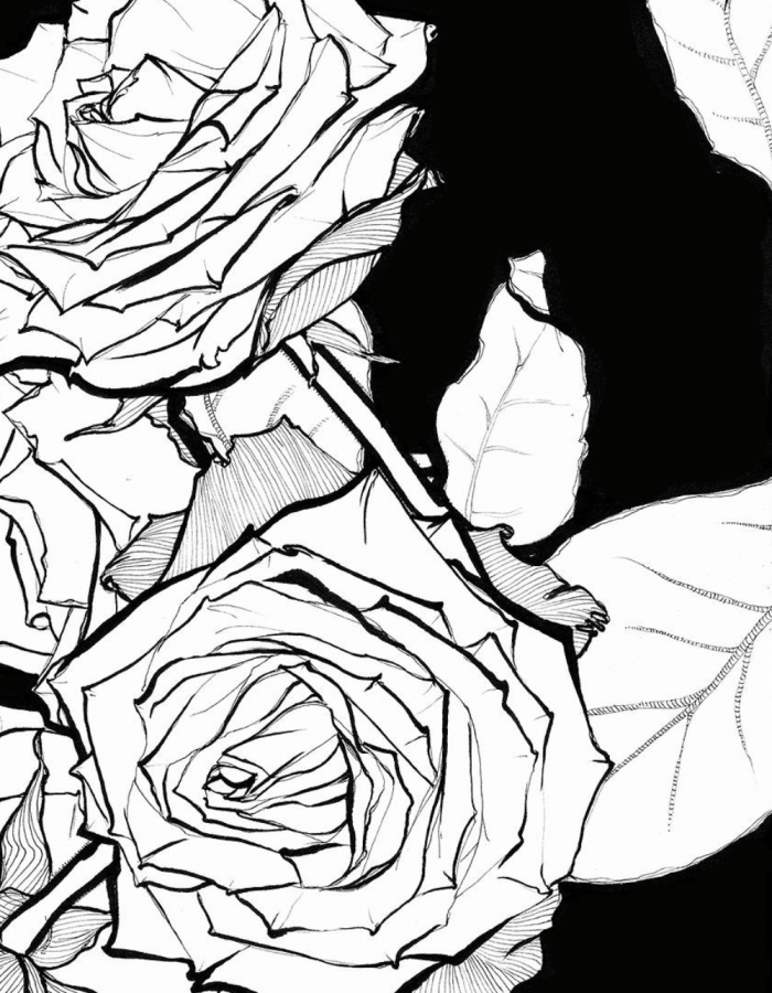 Illustration Roses Noires